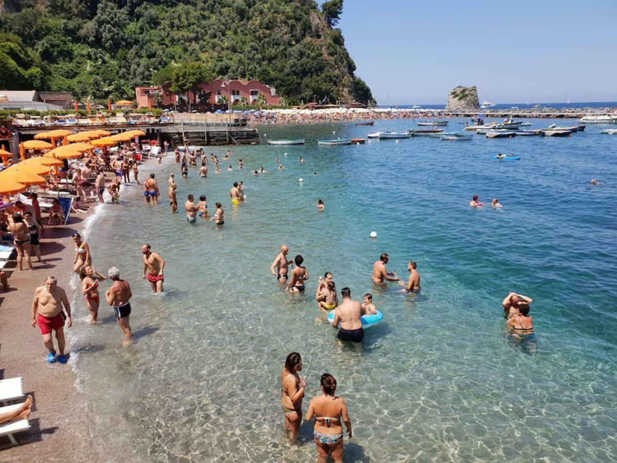 维克艾库塞Casa Marida Sea View公寓 外观 照片